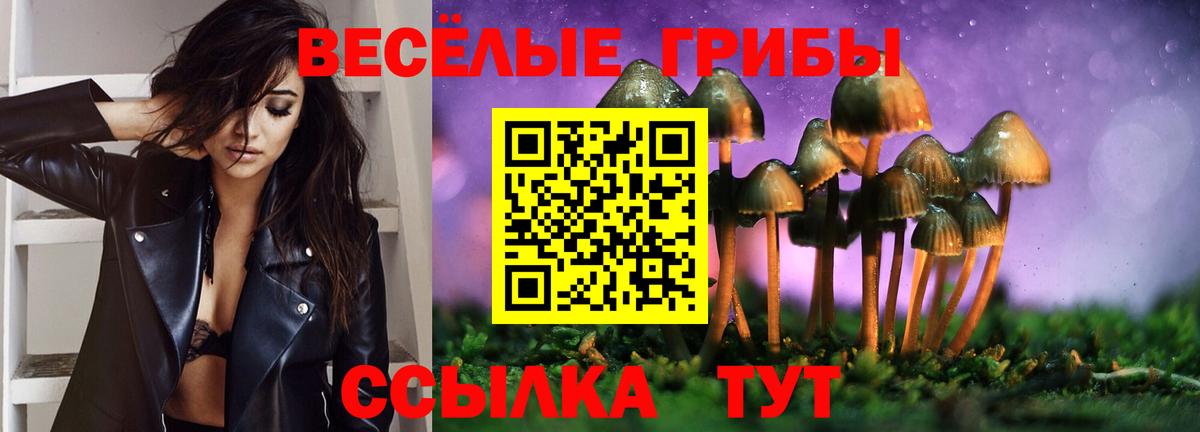 Псилоцибиновые грибы мицелий  Вход с VPN  Сальск 